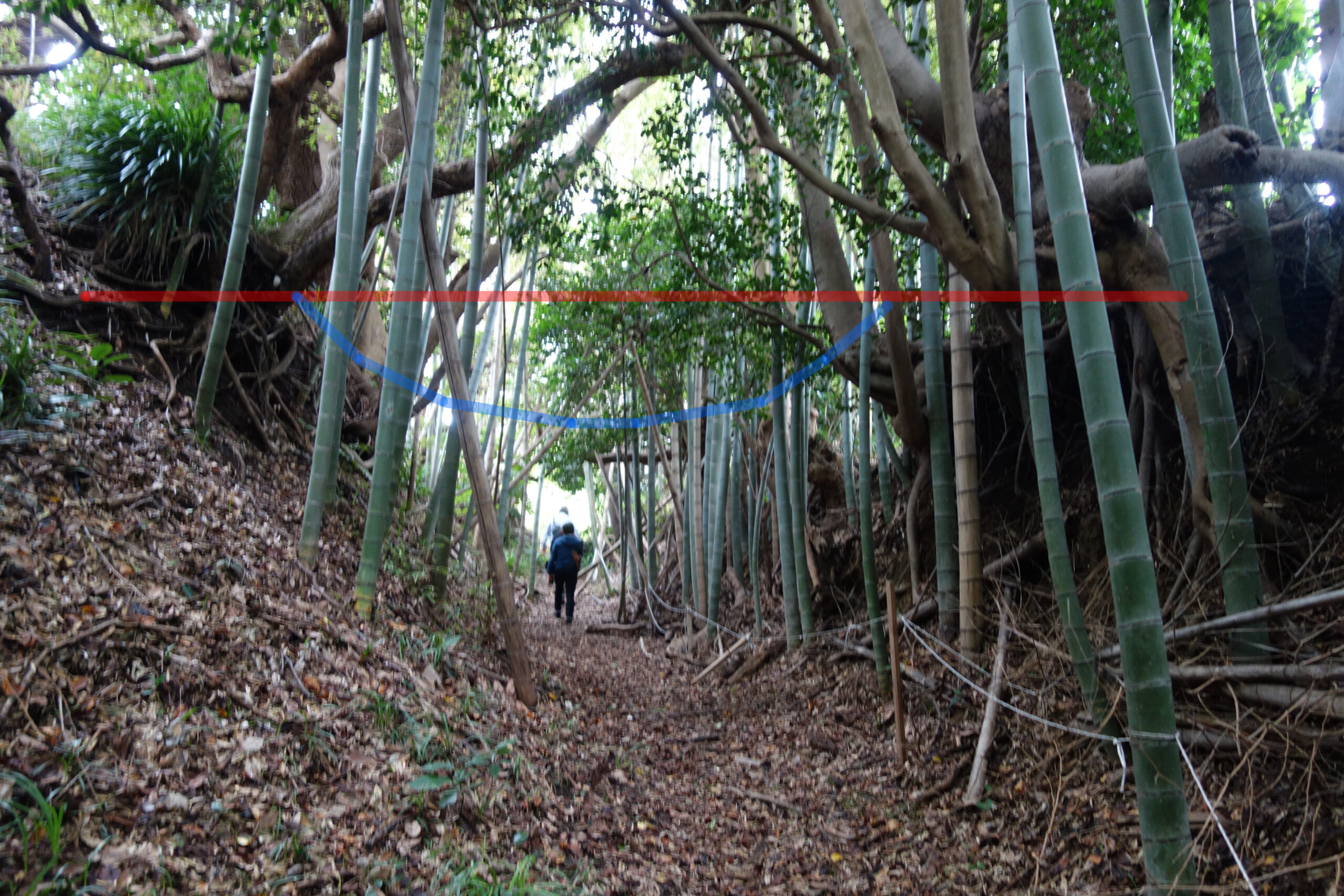 読切】鎌倉→逗子、古代東海道はどこを越えたか？｜日本古道紀行